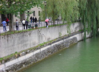 Bemoaning The General Lack Of Self-Awareness In Tight Quarters