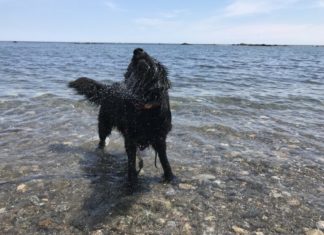 A Hermit Battery Recharge