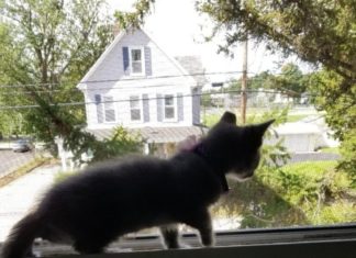 Perception v. Reality