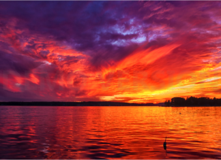 A Bright New Star Shines In Heaven