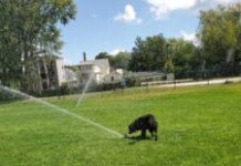 Being A Kid Is A State Of Mind