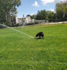 Being A Kid Is A State Of Mind