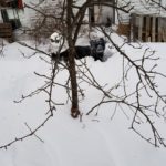 274699468_2128925213955888_5369240061318436365_n