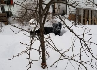 At 65, I Finally Know What I Wanna Do When I Grow up