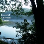 311592151_449279203937161_2273781229896199069_n