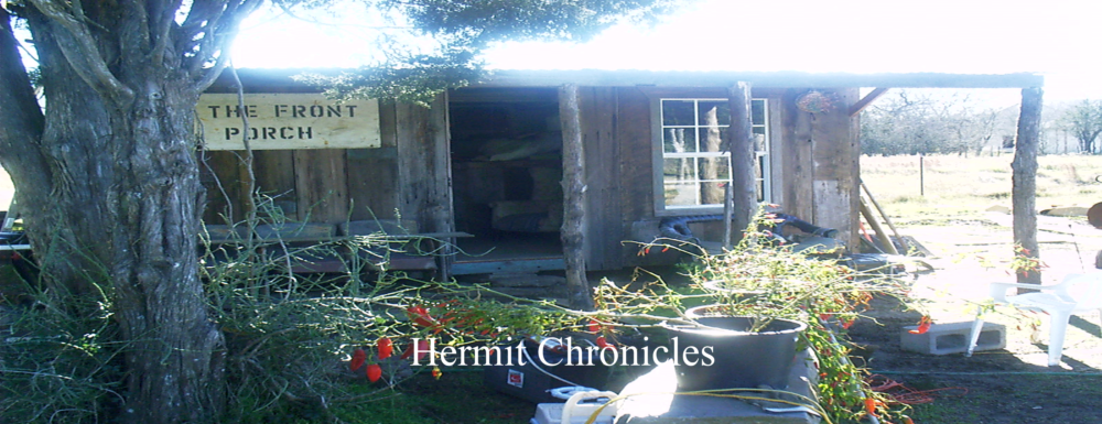 Hermit Chronicles