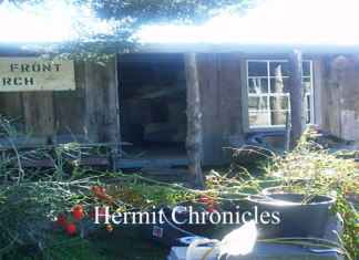 A Blind Old Guy Walks Into A Bar…