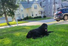 Like A Child, Sometimes A Story Move Back Home