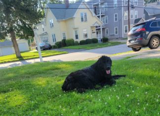 Like A Child, Sometimes A Story Move Back Home