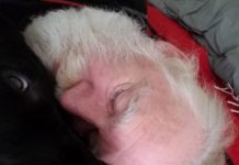 I’ll See You After