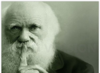 Meaning & Purpose: Introduction