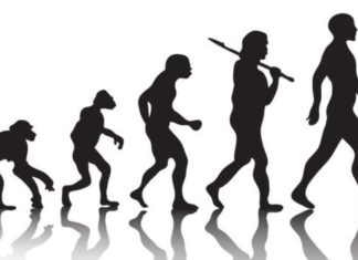 Meaning & Purpose: Part I