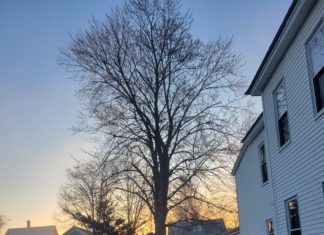 The State I’m In: ‘Spring Forward’