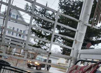 The Alice Diaries: # 3- Building Foundations