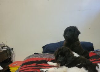 Resistence Is Futile