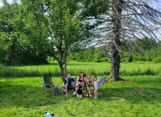 The Alice Diaries: # 8- First Tastes Of Freedom