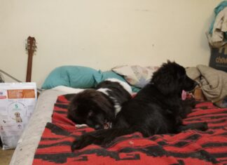 The Best “Happy-ness” Comes When You’re Not Looking