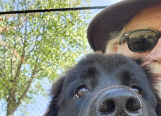 Advice From My Life Coach