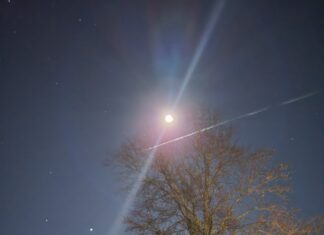 The Under-appreciated