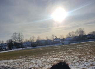 Hibernal Journal: #2 – Week 1