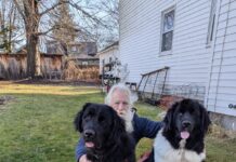 A Thorn Between Two Roses