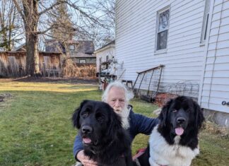 A Thorn Between Two Roses