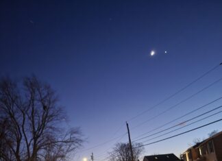 Hibernal Journal: #3 – Week 2