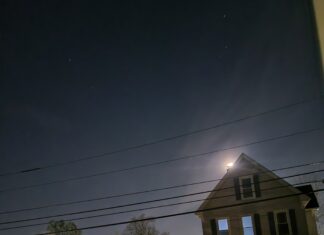 Hibernal Journal: Weeks 3 & 4, Abridged