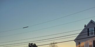 Hibernal Journal: Week 9