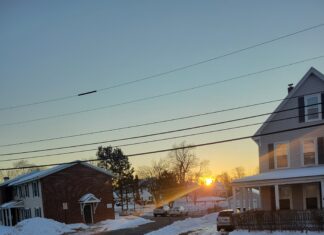 Hibernal Journal: Week 9