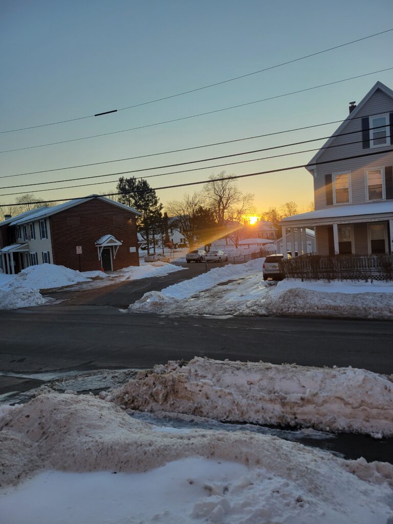 Hibernal Journal: Week 9